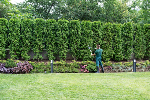 Best Tree Preservation Services  in Cherry Valley, IL