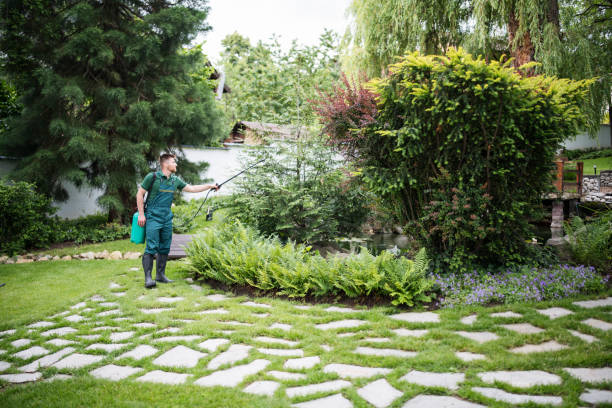 Best Tree Trimming and Pruning  in Cherry Valley, IL