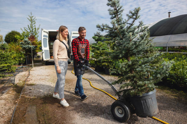 Best Leaf Removal  in Cherry Valley, IL